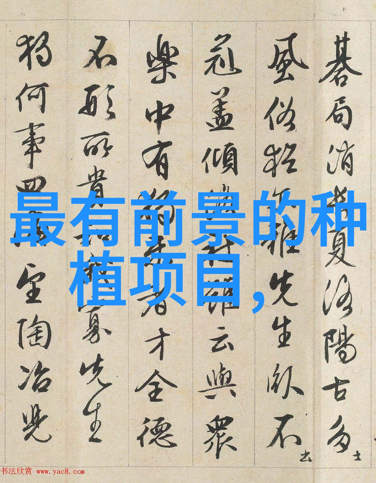 幼龄青梅夏秋管理要点