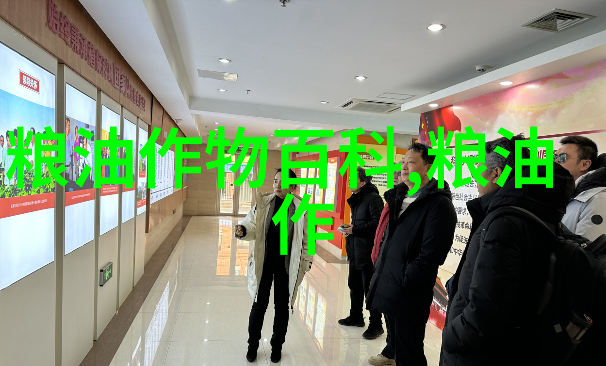 亚麻百科