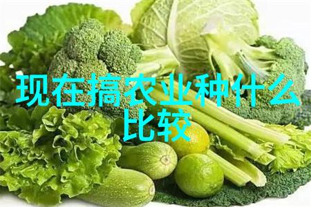 白兰瓜细菌性角斑病防治