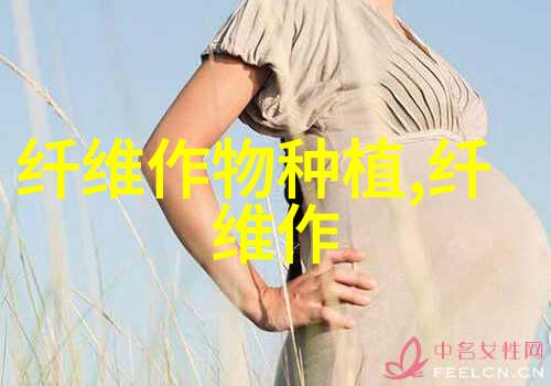 棉花吐絮管理抓四巧