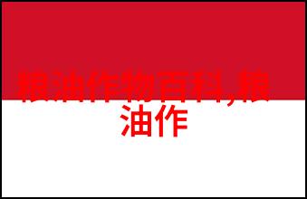 芝麻百科