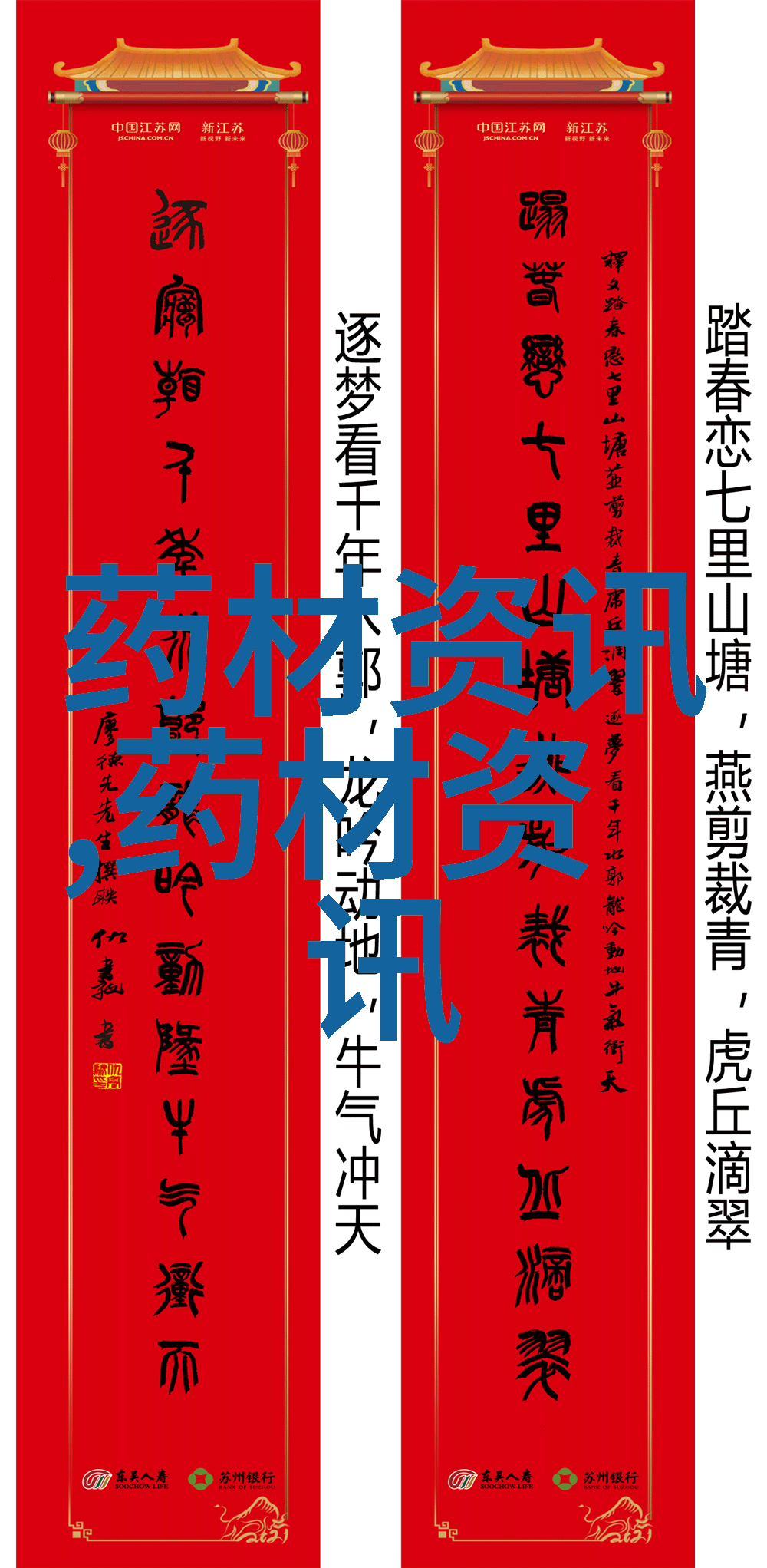 名贵中药材金银花成汉中徐望镇农民致富新宠