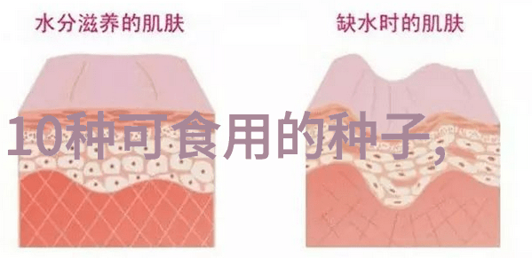 花木苗圃基地的招聘现状与职业前景分析