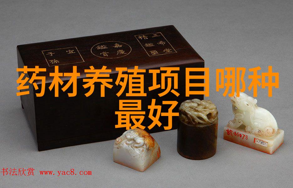 青梅丰产不忘冬剪