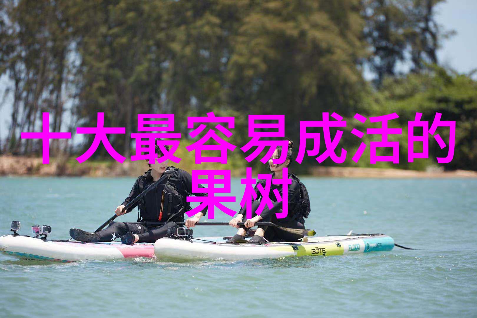 花卉苗木行业的未来机遇与挑战并存的发展之路