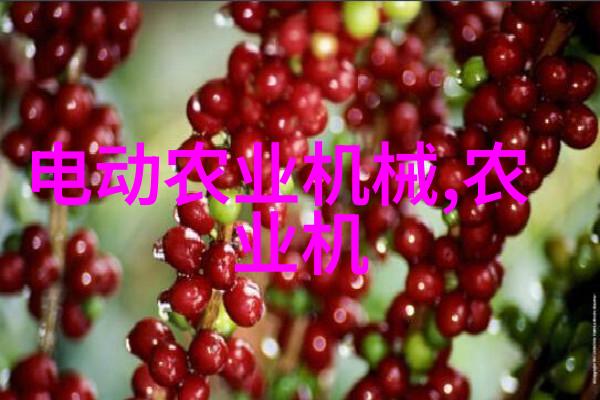 揭秘花草种植基地直销市场前景及优势分析