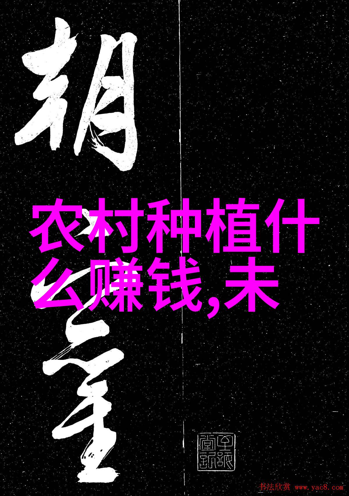 青梅优质丰产有讲究二