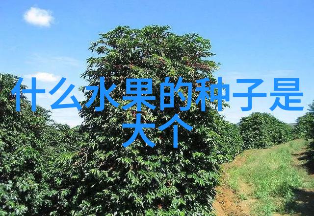 2025年一号文件中国农机产业发展将迎来新阶段