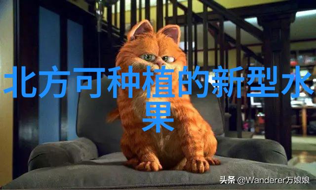 人参果灰霉病