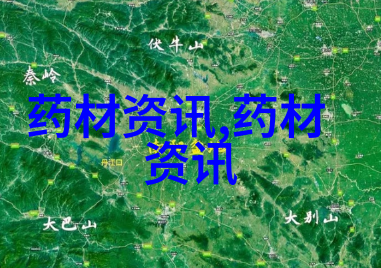 绵阳朱玉兴种植的大棚灵芝重量25公斤